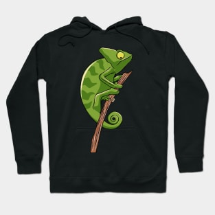 Chameleon On Branch Lizard Lizards Chameleons Hoodie